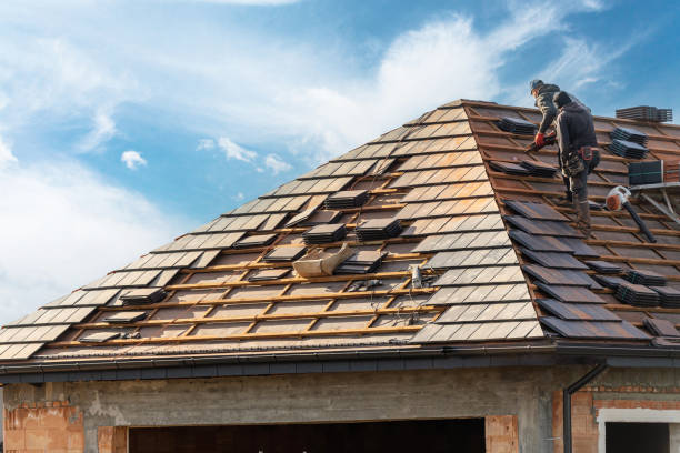 Professional Roofing services in Carnesville, GA