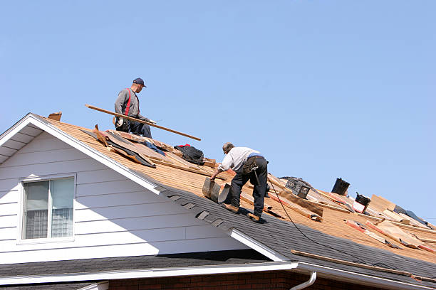 Best Green or Eco-Friendly Roofing Solutions  in Carnesville, GA